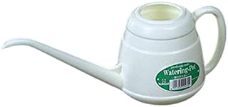 JapanBargain 1942, Japanese Long Spout Watering Can for Bonsai Succulents Cactus Rosettes Succulents Indoor Outdoor Plants Control Water Flow Made in Japan, 850ml