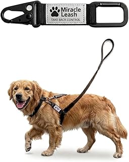 No-Pull Dog Trainer – Front Control Leash Attachment for Strong Pullers – Universal Fit 10–150 lbs