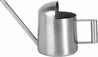 IMEEA Mini Watering Can for Succulents & Bonsai Tiny Stainless Steel Indoor Plant Watering Can with Long Spout for Small Desk Plants, 11oz/300ml