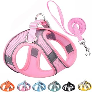 Small Dog Harness and Leash Set, No-Pull Reflective Puppy Harness for Outdoor Walking, Breathable Mesh Girl Cats Vest for XXS Xs Small Medium Female Pet Dogs, Pink XXS
