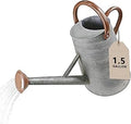 Watering Can for Outdoor&Indoor Plants，1.5 Gallon（5.7L） Metal Watering Can with with Removable Spout，Large Galvanized Steel Garden Flower Water Can Watering Pot with 2 Handles，Rustic Silver