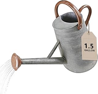 Watering Can for Outdoor&Indoor Plants，1.5 Gallon（5.7L） Metal Watering Can with with Removable Spout，Large Galvanized Steel Garden Flower Water Can Watering Pot with 2 Handles，Rustic Silver