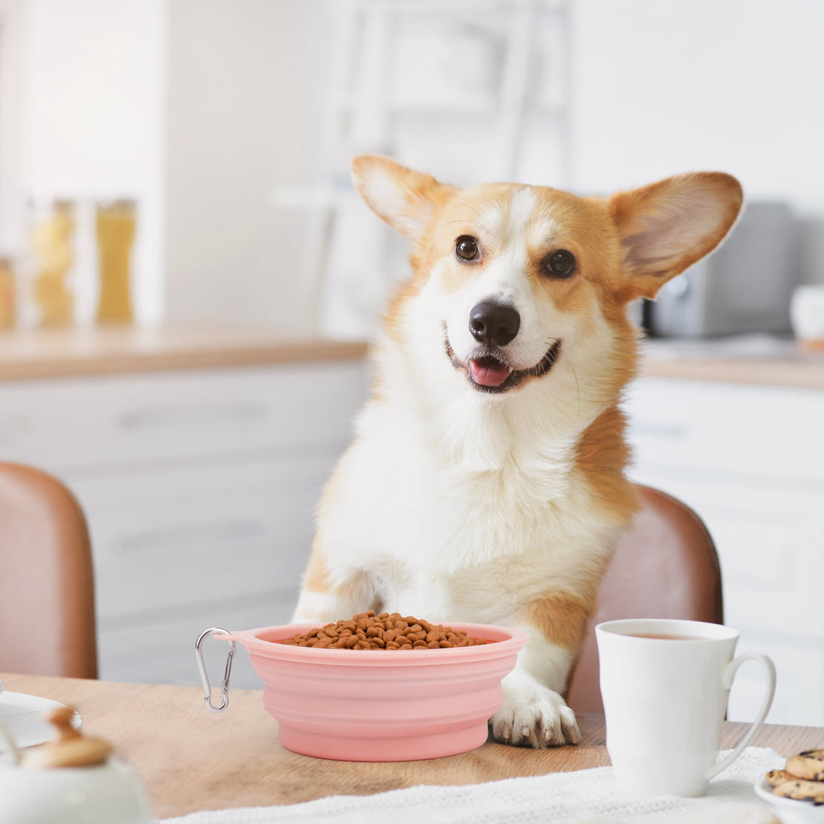 Bowls, (12 & 22oz ) Portable Dogs Cats Pet Foldable Feeding Watering Dish for Traveling Camping Walking, Pink - Image 2