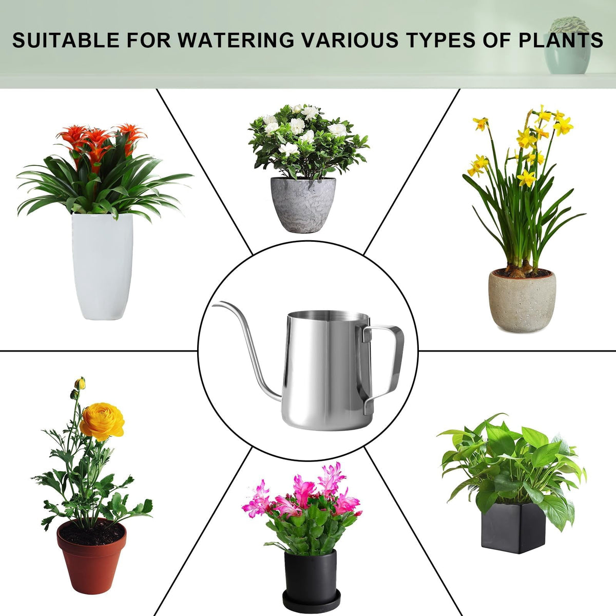 Small Watering Can for Indoor Plants, Mini Indoor Watering Can with Long Spout and Handle 12 oz / 350 ml Rust-Proof 3... - Image 5