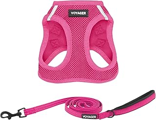 Best Pet Supplies Voyager Step-in Air All Weather Mesh Harness and Reflective Dog 5ft Leash Combo with Neoprene Handle, for Small, Medium and Large Breed Puppies - Fuchsia, Small