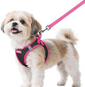 rabbitgoo Dog Harness Small Sized and Leash Set, Step-in Breathable Pet Harness, Soft Walking Reflective Puppy Vest for Small Dogs, Black & Rose Red, S