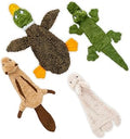 Best Pet Supplies Squeaky Dog Toys with Soft Durable Fabric for Small, Medium and Large Pets Interactive Toy for Indoor Play, Supports Active Biting and Play - 4 Figures, Small