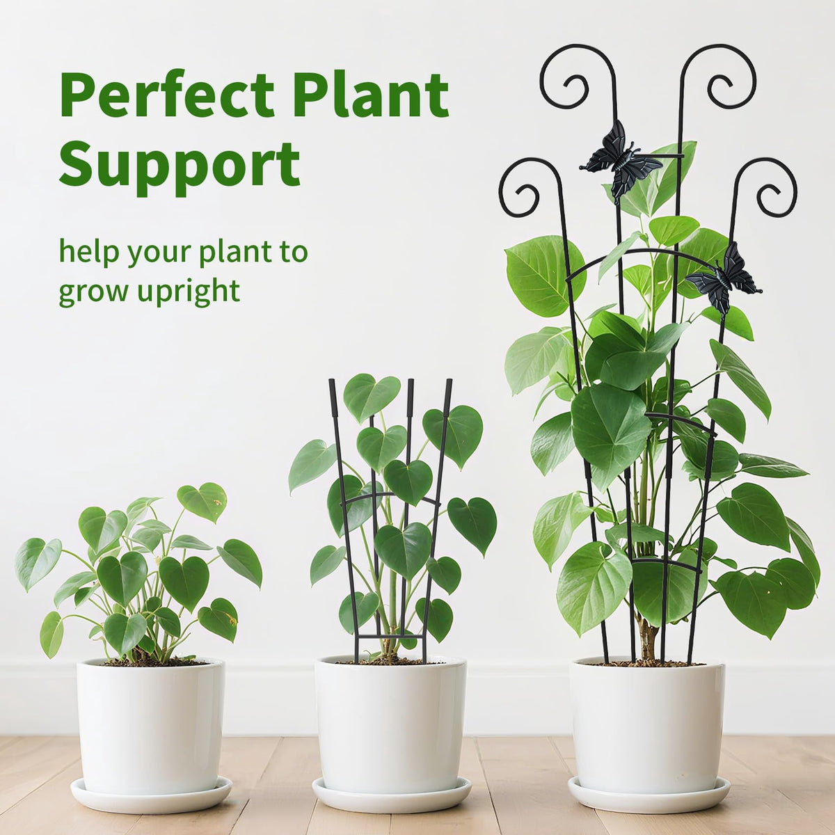 2 Pack 30 Inch Taller Plant Trellis for Potted Climbing Plants Indoor,Expandable Metal Garden Trellis for Climbing Pl... - Image 2