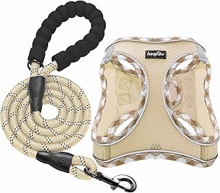 haapaw Dog Harness with Leash Set, No Pull Adjustable Reflective Step-in Puppy Harness with Thickened Padded Vest for Extra-Small/Small Medium Dogs