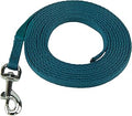 Coachi Puppy & Mini Training Line 2.5m - Toilet Training, Jumping Up, Running Off, Place Avoidance, Chewing, House Manners, Lightweight Indoor House Lead. Suitable for Puppies & Newly Acquired Dogs