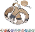 AIITLE XXS Dog Harness & Leash Set - Breathable Reflective No-Choke Small Dog Harness for Teacup Puppies, Indoor/Outdoor Use - Boston Terrier, Maltese, Chihuahua (Brown-Beige, XXS)