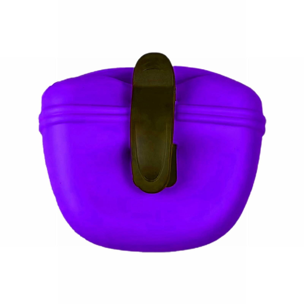 Portable Silicone Dog Treat Pouch with Waist Clip, Clip-On Training Container with Buckle Closure for Outdoor Dog Wal...