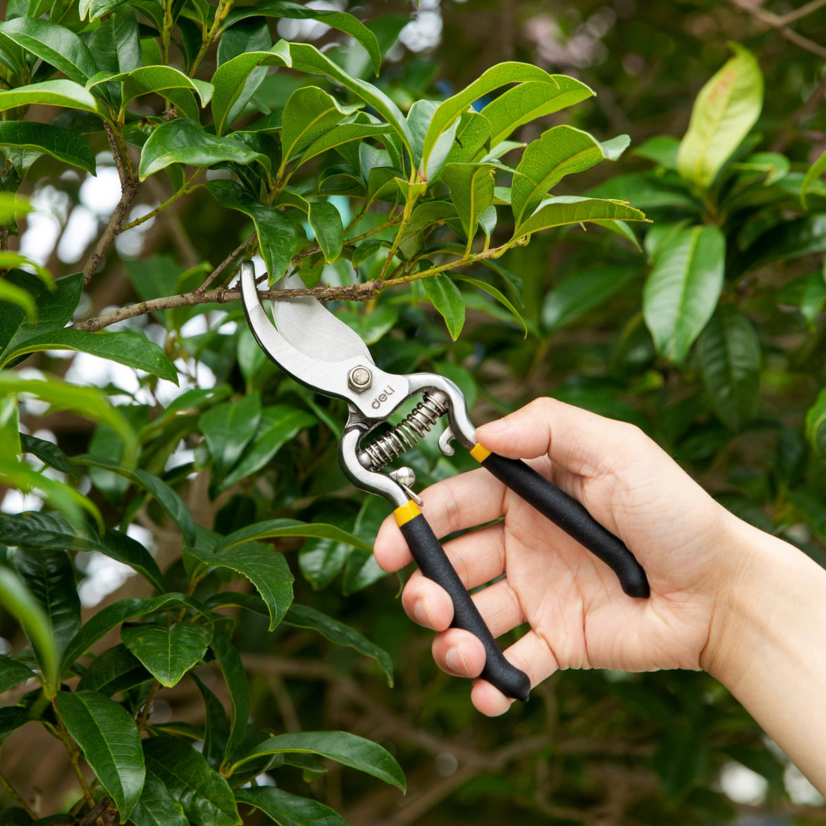 Shears, 8" Bypass Gardening Pruner, Scissors, Clippers, Black - Image 4
