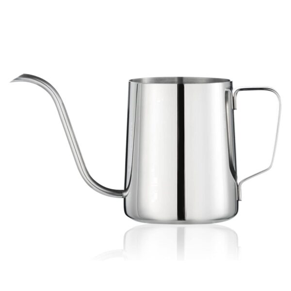 Stainless Steel Watering Can, 12 oz